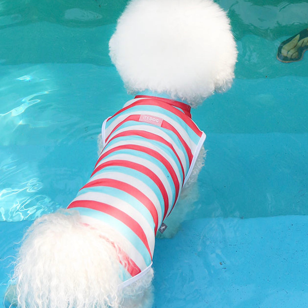 ※予約販売【ITS DOG】Like Dolphin Rash Guard（Pink Blue）