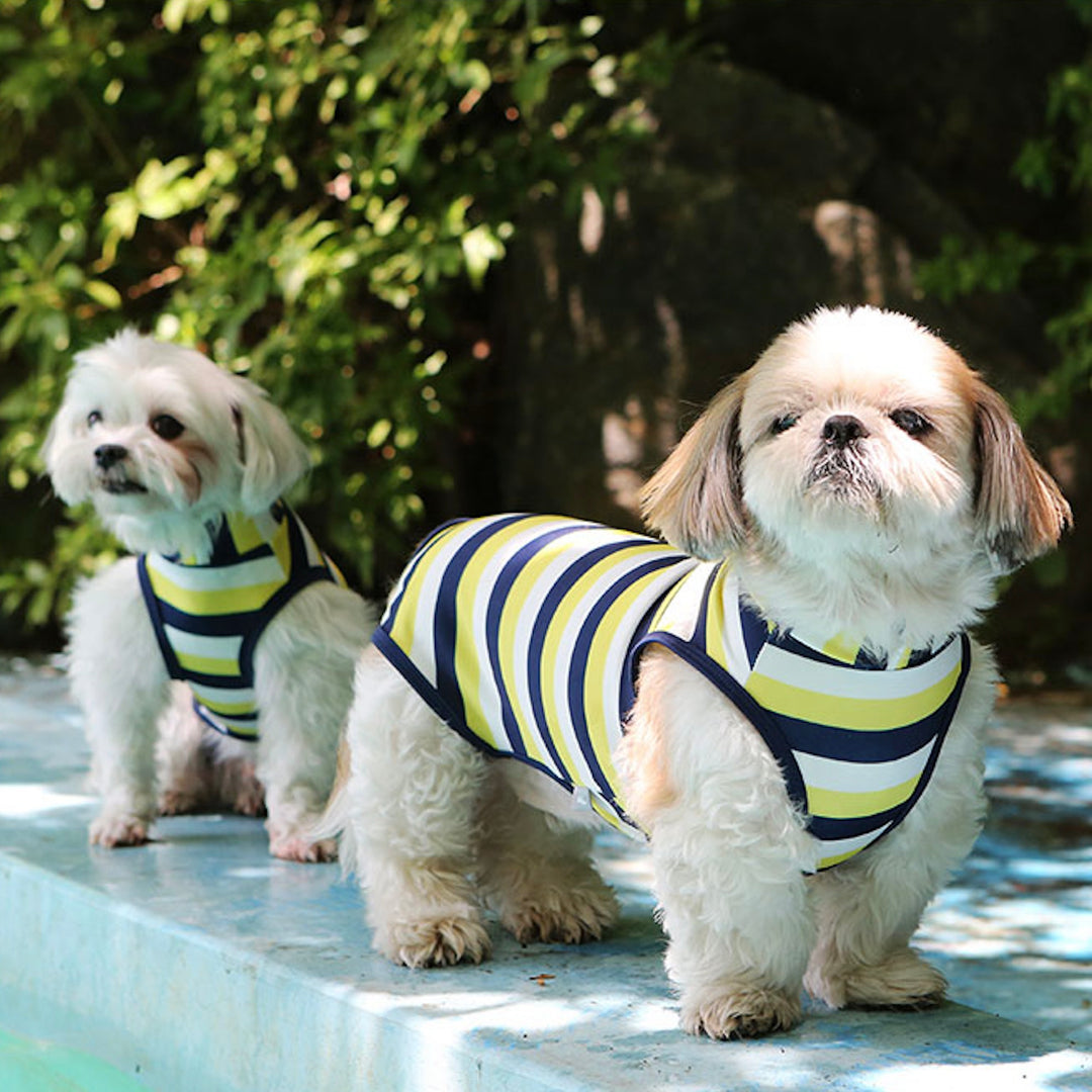 ※予約販売【ITS DOG】Like Dolphin Rash Guard（Yellow Navy）