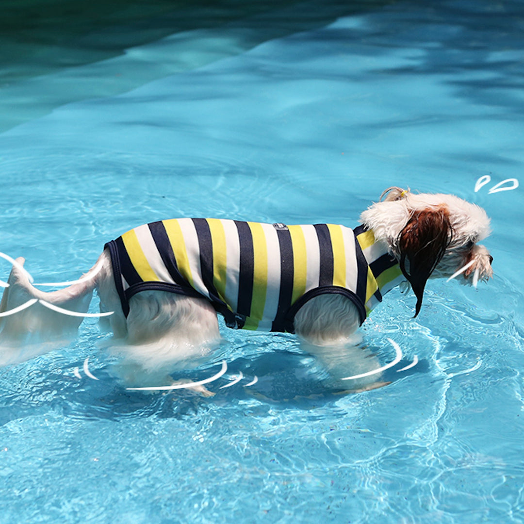 ※予約販売【ITS DOG】Like Dolphin Rash Guard（Yellow Navy）