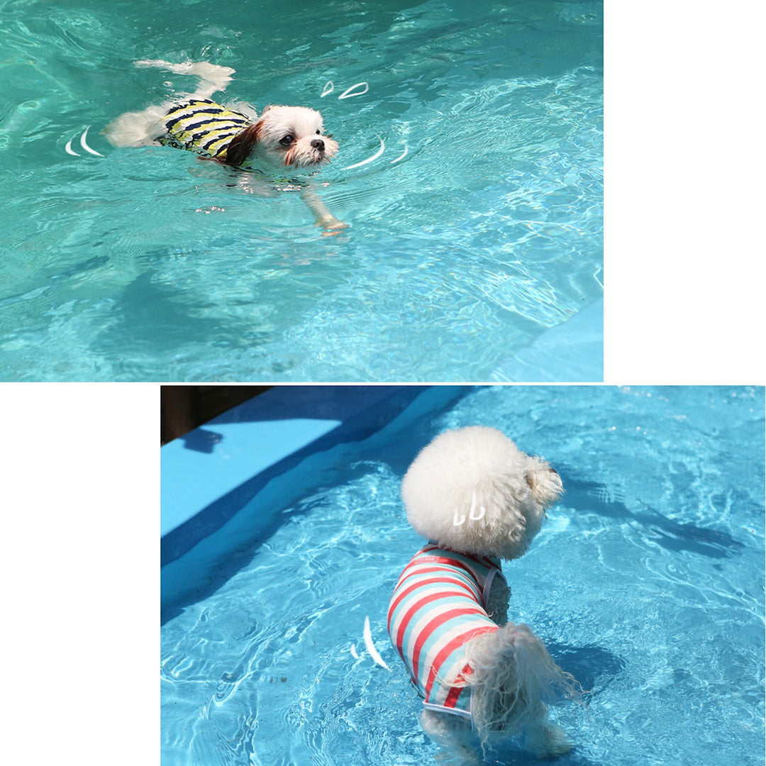 ※予約販売【ITS DOG】Like Dolphin Rash Guard（Yellow Navy）