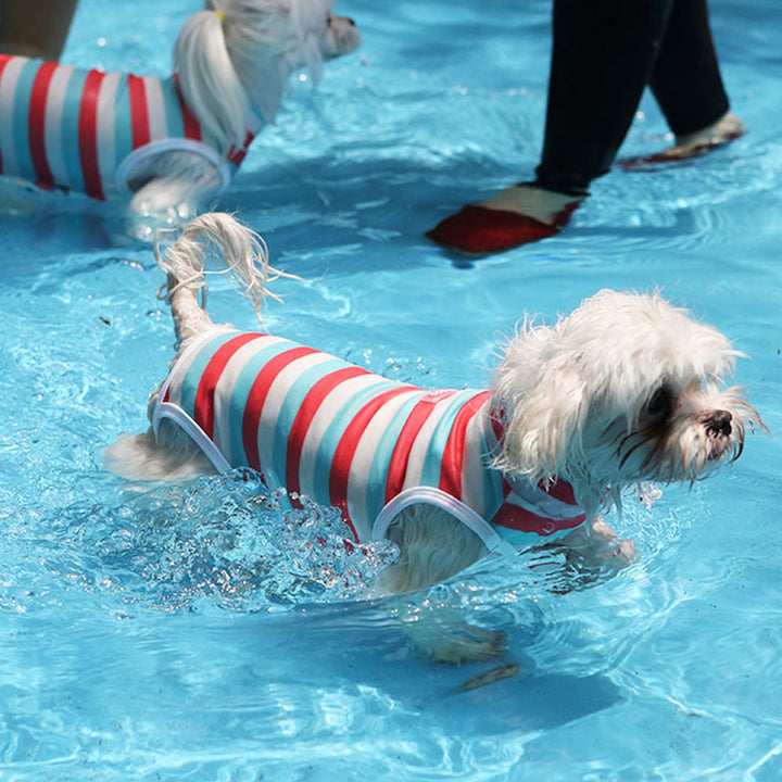 ※予約販売【ITS DOG】Like Dolphin Rash Guard（Pink Blue）