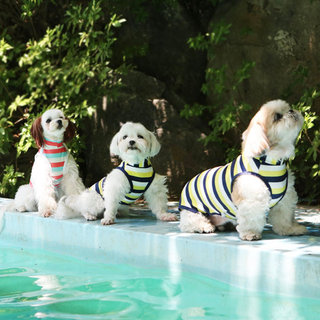 ※予約販売【ITS DOG】Like Dolphin Rash Guard（Pink Blue）