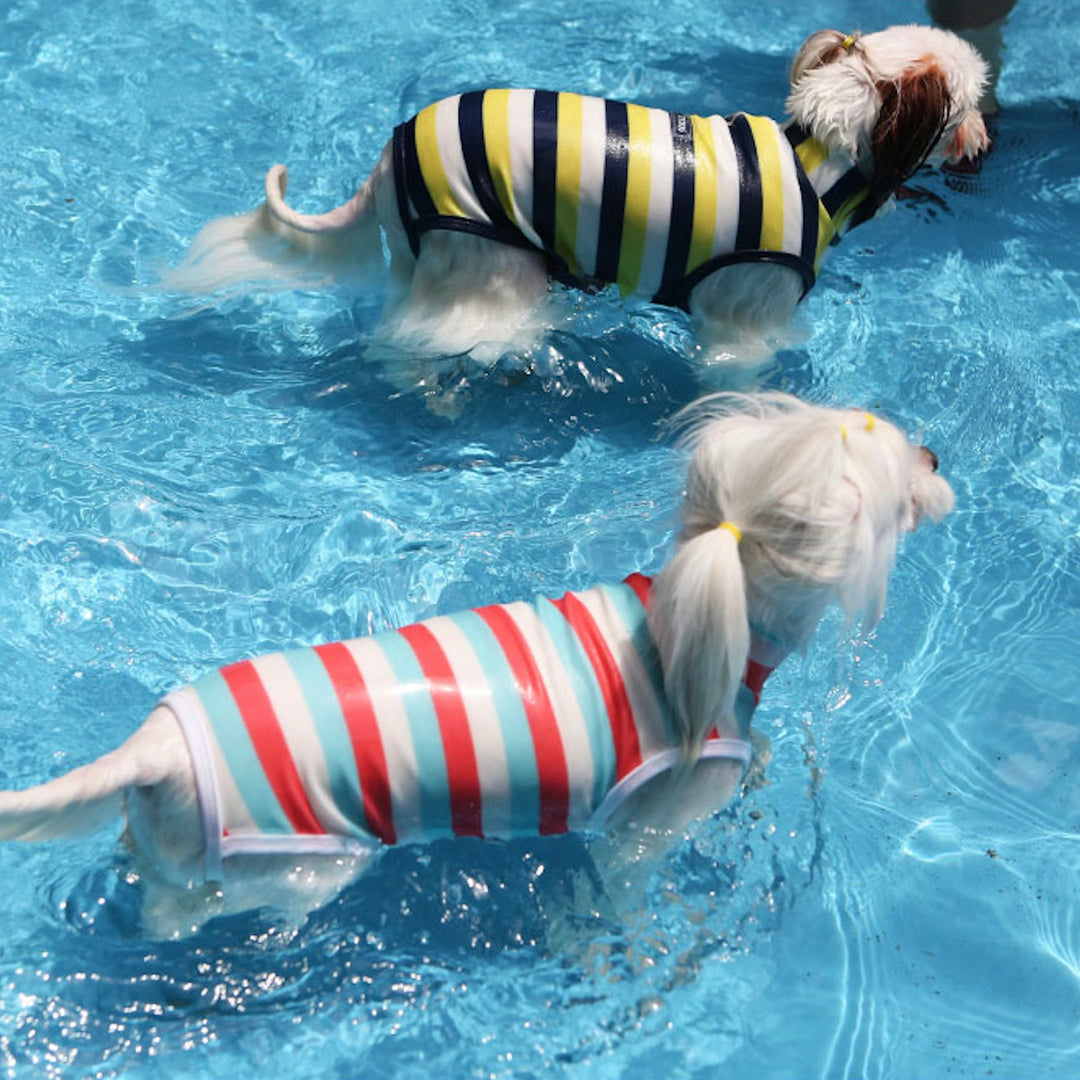 ※予約販売【ITS DOG】Like Dolphin Rash Guard（Pink Blue）