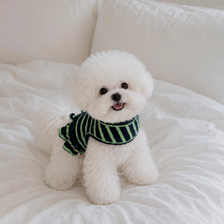 ※予約販売【OUNCE】Terry Stripe Cool Frill Harness（Green）｜犬用ハーネス