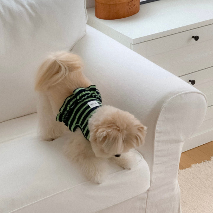 ※予約販売【OUNCE】Terry Stripe Cool Frill Harness（Green）｜犬用ハーネス