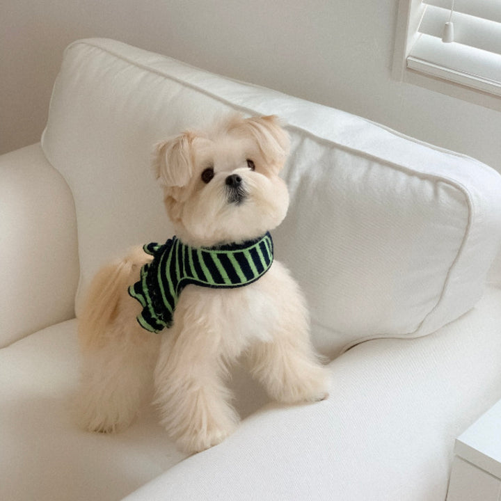 ※予約販売【OUNCE】Terry Stripe Cool Frill Harness（Green）｜犬用ハーネス