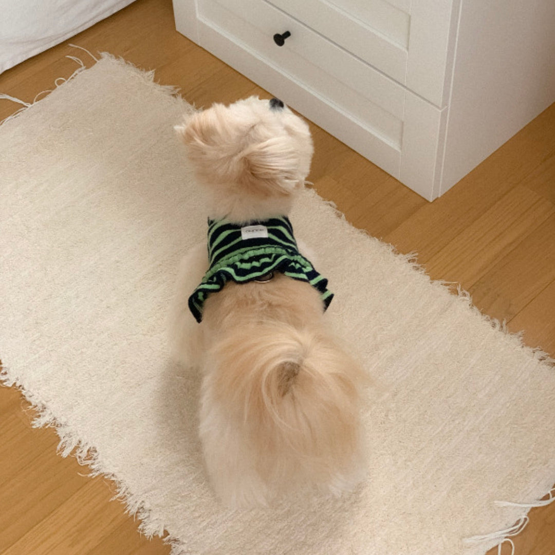 ※予約販売【OUNCE】Terry Stripe Cool Frill Harness（Green）｜犬用ハーネス