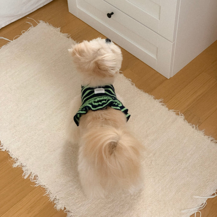 ※予約販売【OUNCE】Terry Stripe Cool Frill Harness（Green）｜犬用ハーネス
