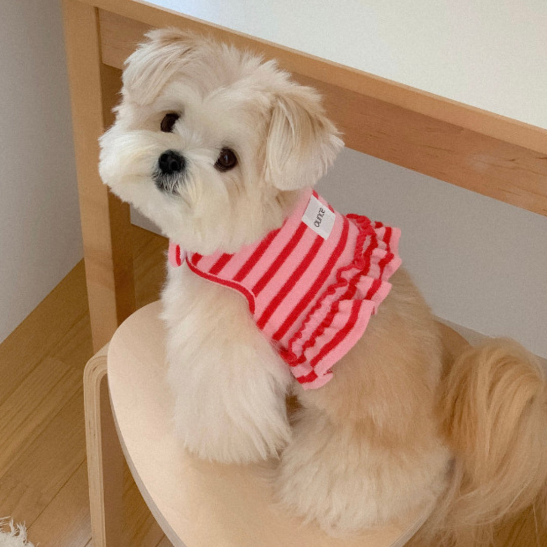 ※予約販売【OUNCE】Terry Stripe Cool Frill Harness（Pink）｜犬用ハーネス