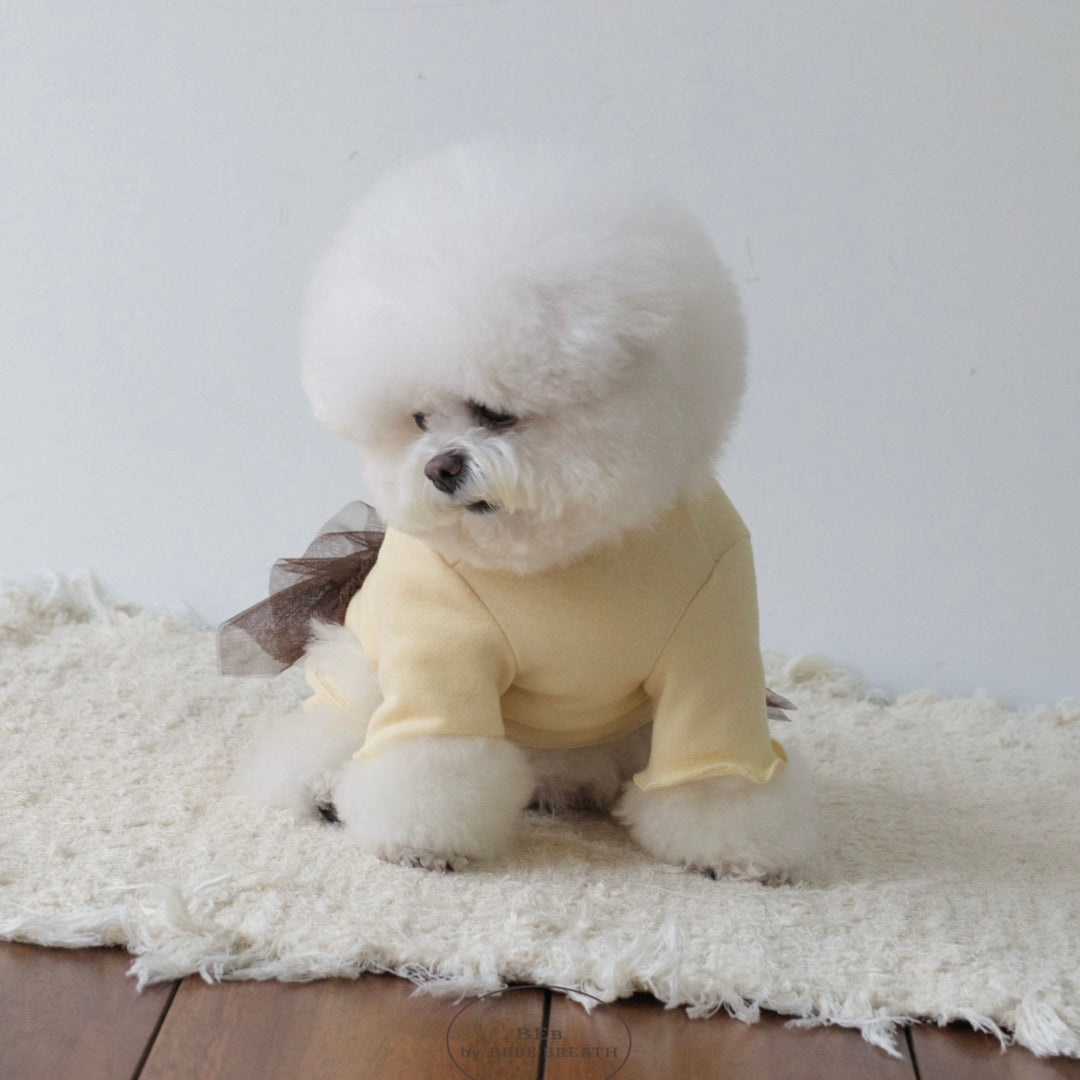 ※予約販売【BeBe Breath】Classic all in one（Yellow）