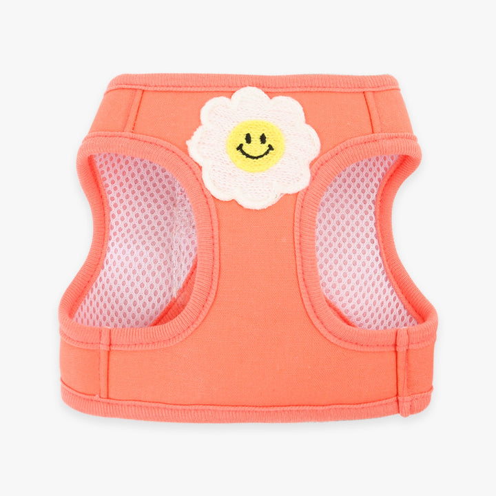 ※予約販売【ITS DOG】Daisy Frill Harness（Coral）｜犬用ハーネス