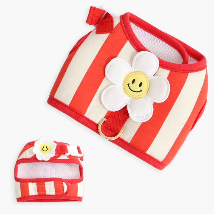 ※予約販売【ITS DOG】Smile Daisy Harness（Red）｜犬用ハーネス