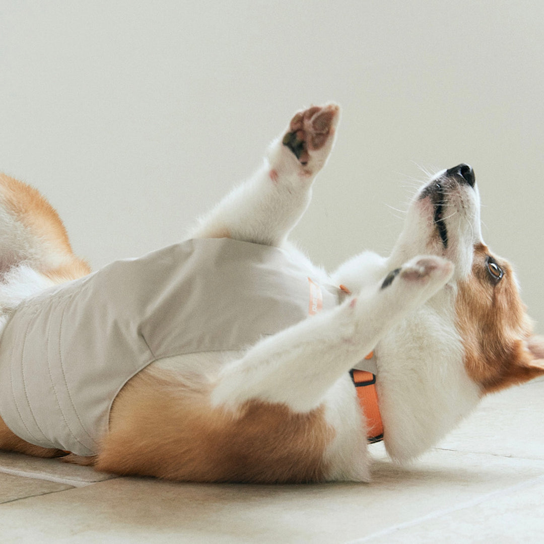 ※予約販売【munikund】Water-Block Front Cover（4color）