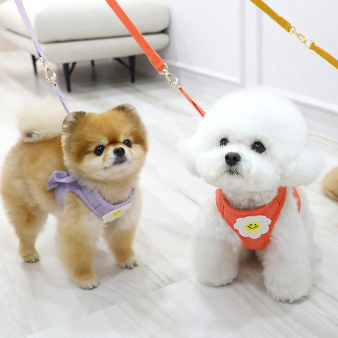 ※予約販売【ITS DOG】Daisy Frill Harness（Coral）｜犬用ハーネス