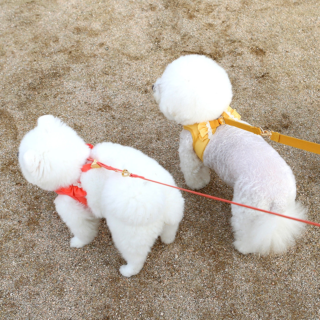 ※予約販売【ITS DOG】Daisy Frill Harness（Yellow）｜犬用ハーネス