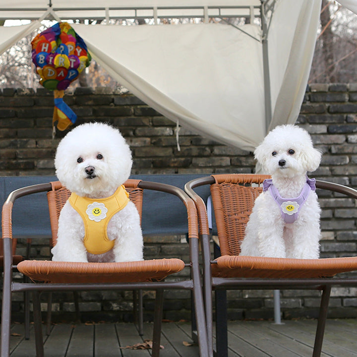 ※予約販売【ITS DOG】Daisy Frill Harness（Yellow）｜犬用ハーネス