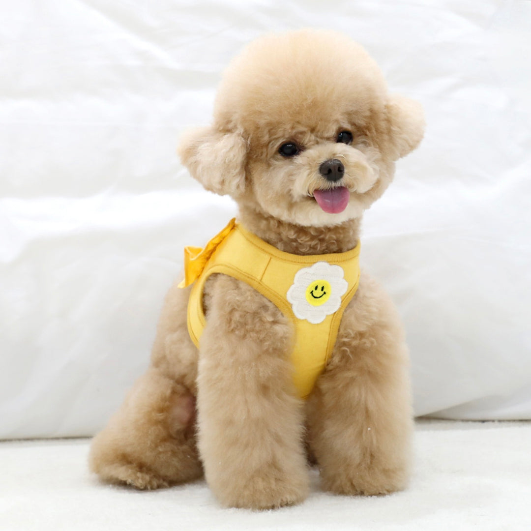 ※予約販売【ITS DOG】Daisy Frill Harness（Yellow）｜犬用ハーネス