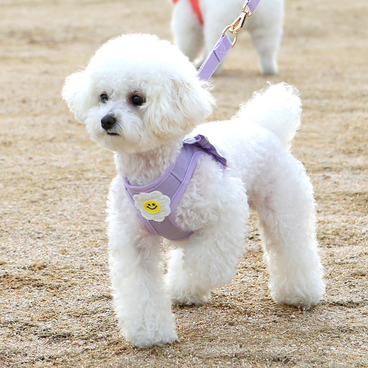 ※予約販売【ITS DOG】Daisy Frill Harness（Violet）｜犬用ハーネス