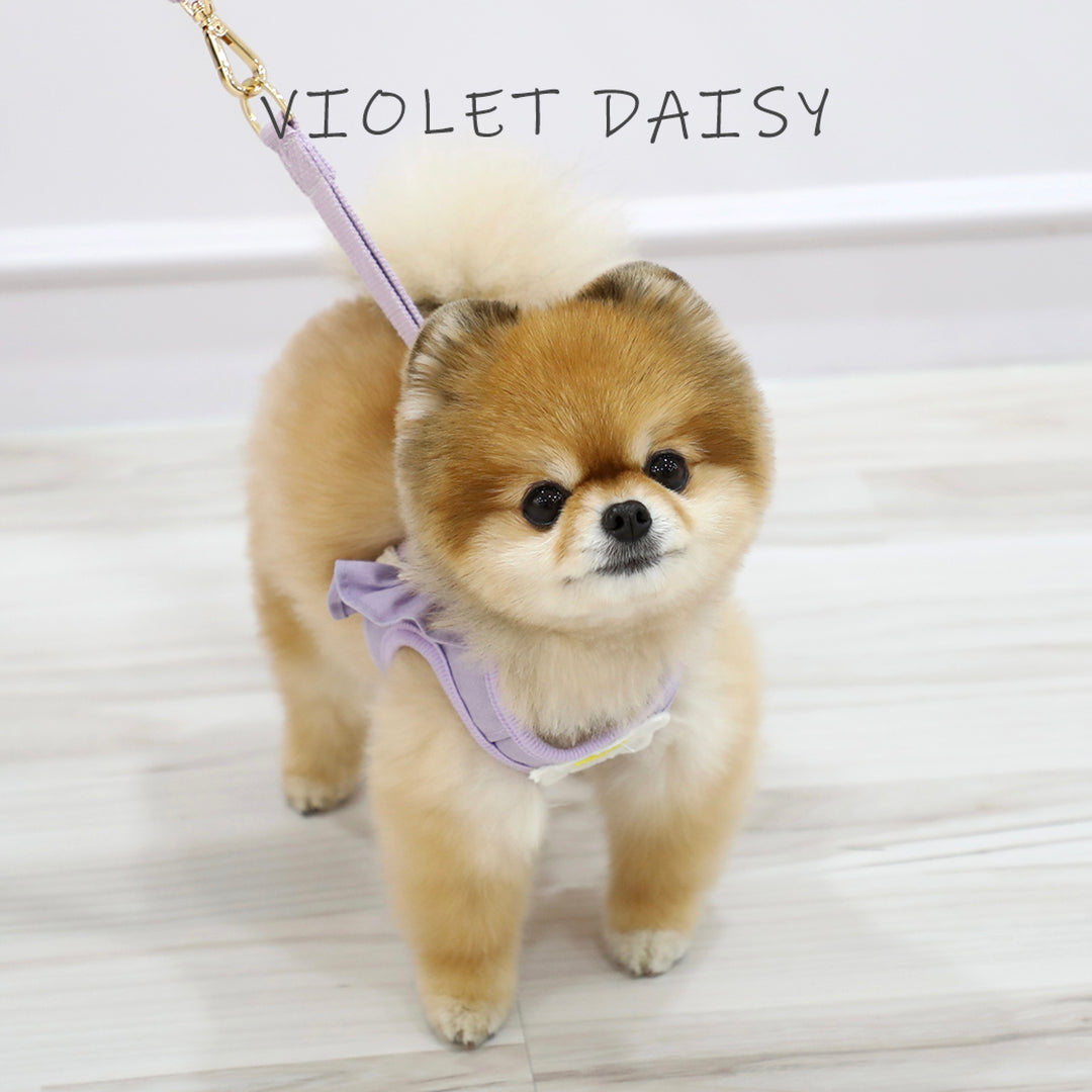 ※予約販売【ITS DOG】Daisy Frill Harness（Violet）｜犬用ハーネス
