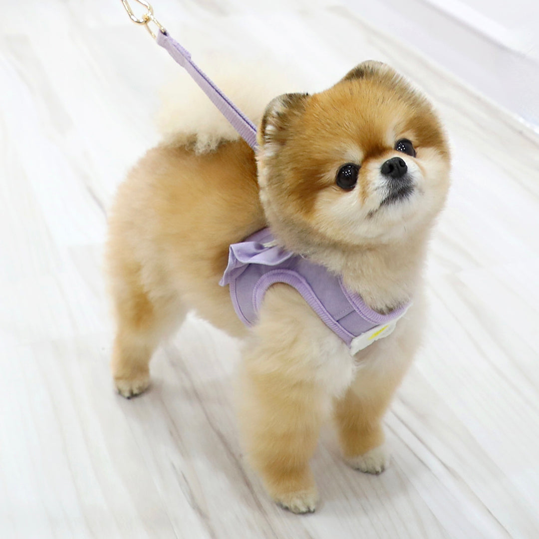 ※予約販売【ITS DOG】Daisy Frill Harness（Violet）｜犬用ハーネス