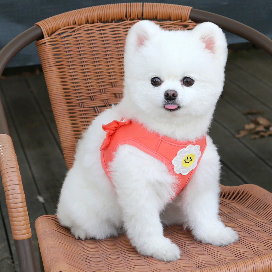 ※予約販売【ITS DOG】Daisy Frill Harness（Coral）｜犬用ハーネス