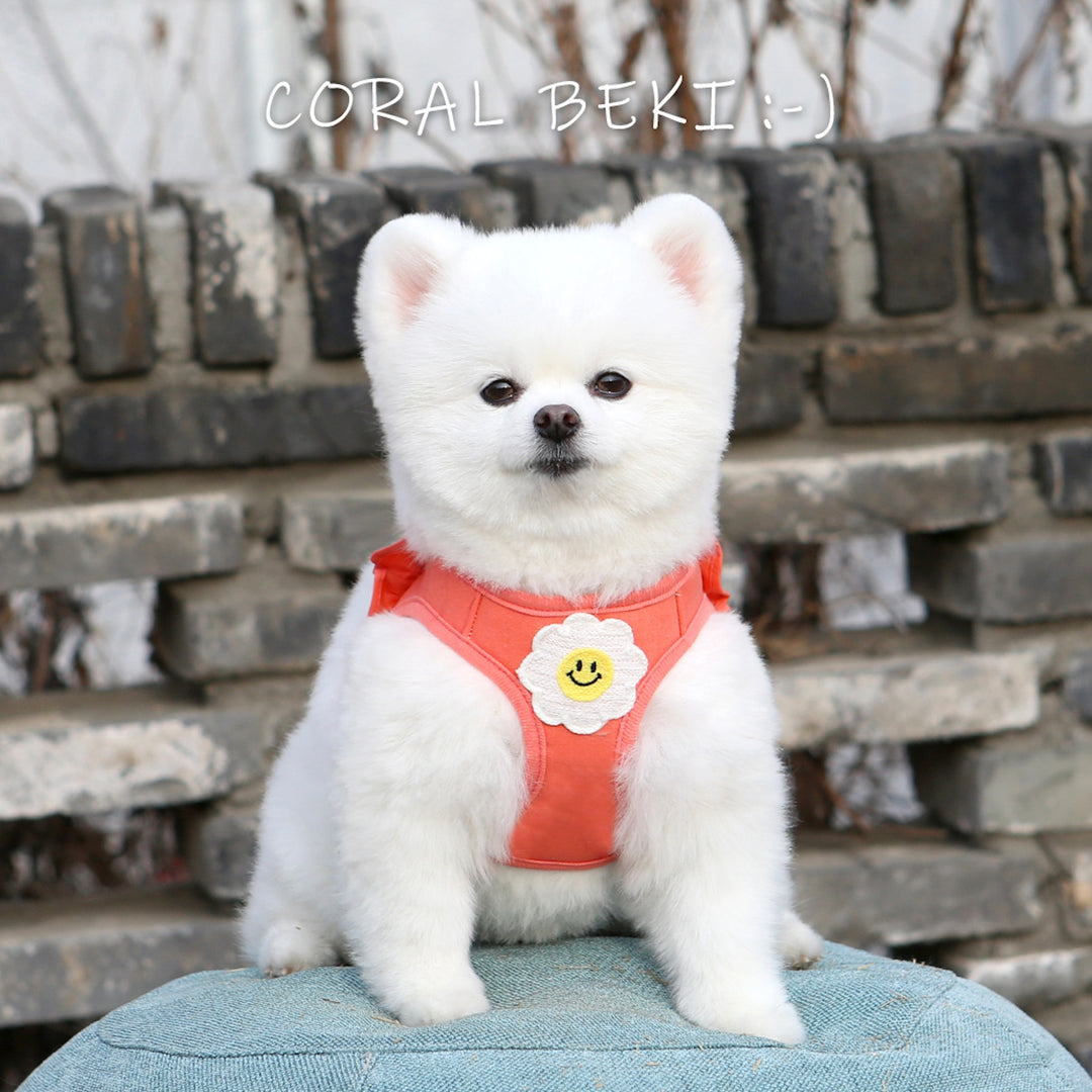 ※予約販売【ITS DOG】Daisy Frill Harness（Coral）｜犬用ハーネス