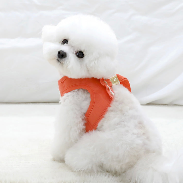 ※予約販売【ITS DOG】Daisy Frill Harness（Coral）｜犬用ハーネス