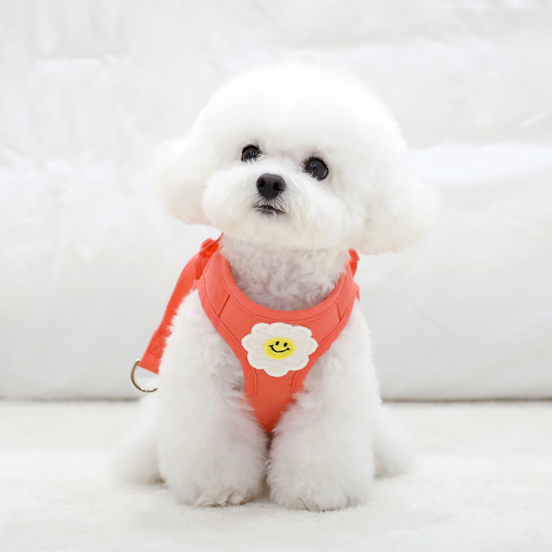 ※予約販売【ITS DOG】Daisy Frill Harness（Coral）｜犬用ハーネス
