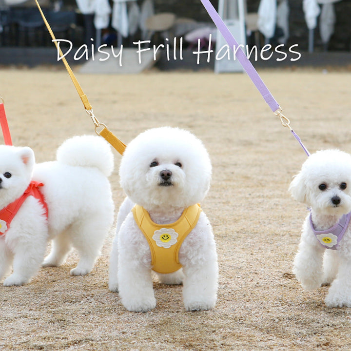 ※予約販売【ITS DOG】Daisy Frill Harness（Coral）｜犬用ハーネス
