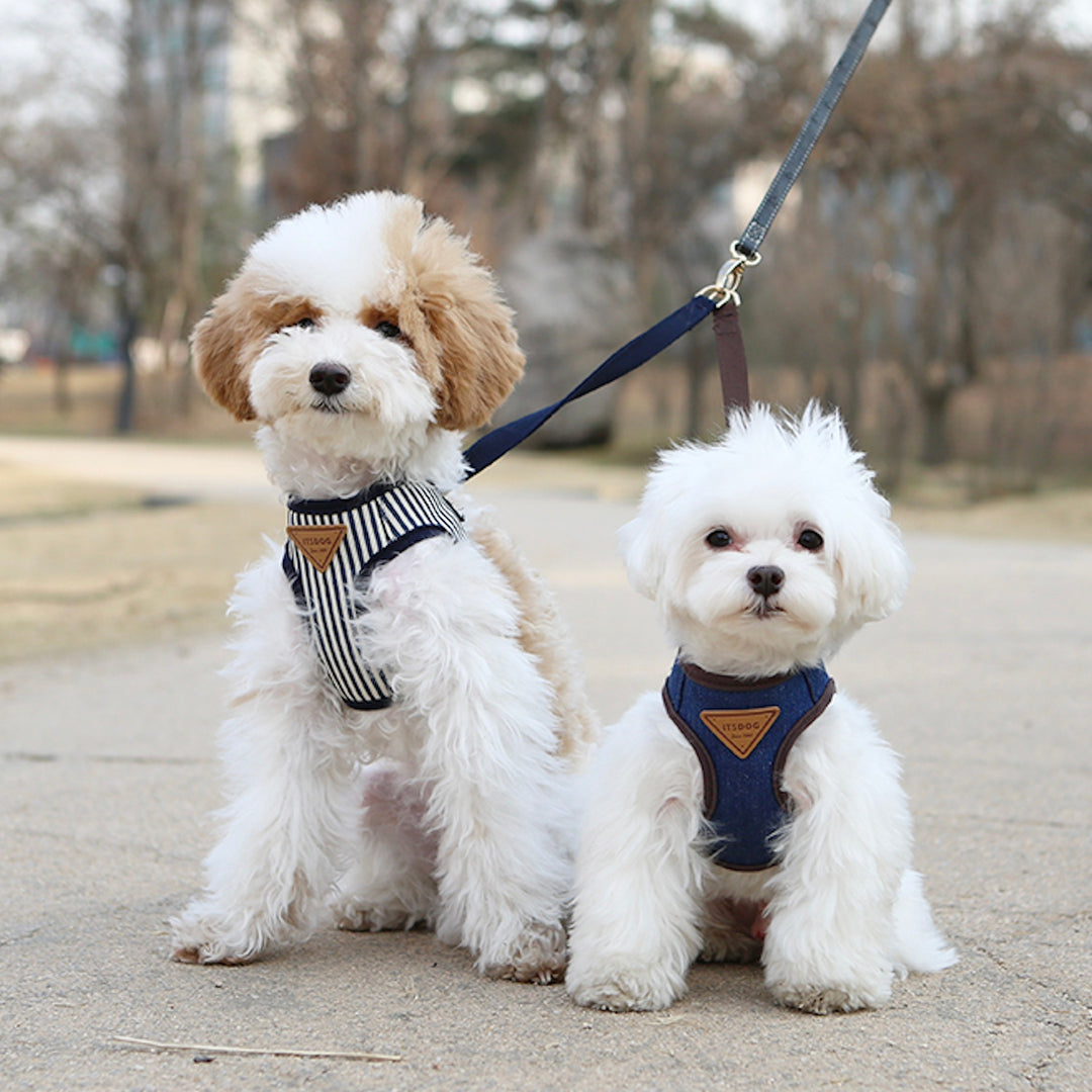 ※予約販売【ITS DOG】Denim vest harness（Stripe）｜犬用ハーネス