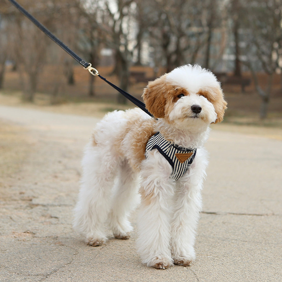 ※予約販売【ITS DOG】Denim vest harness（Stripe）｜犬用ハーネス