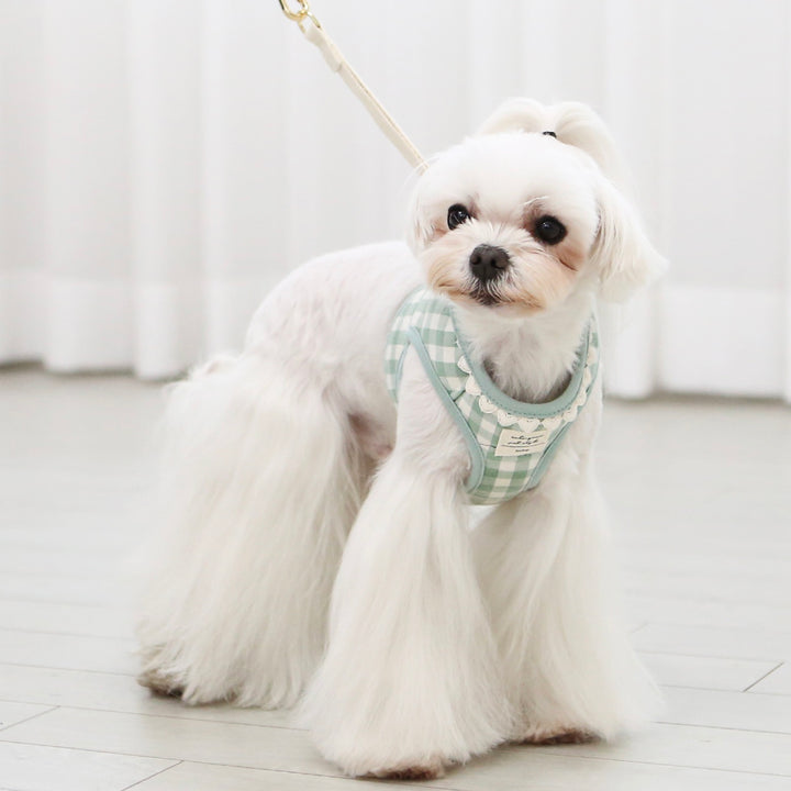 ※予約販売【ITS DOG】Heart check harness（Mint）｜犬用ハーネス