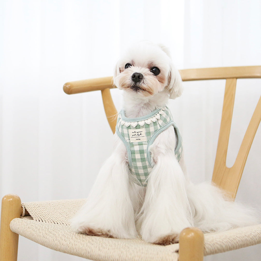 ※予約販売【ITS DOG】Heart check harness（Mint）｜犬用ハーネス