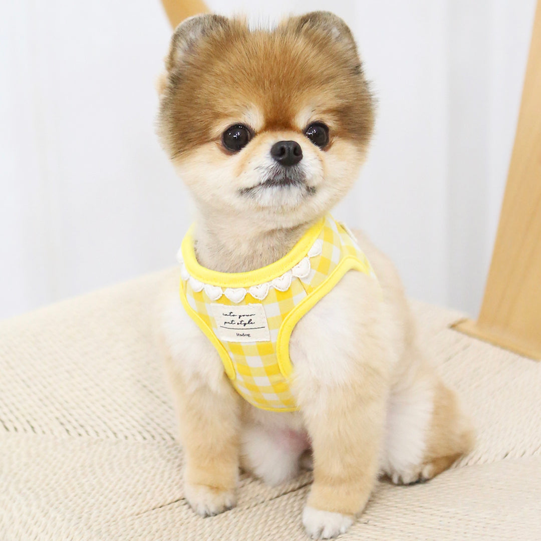 ※予約販売【ITS DOG】Heart check harness（Yellow）｜犬用ハーネス