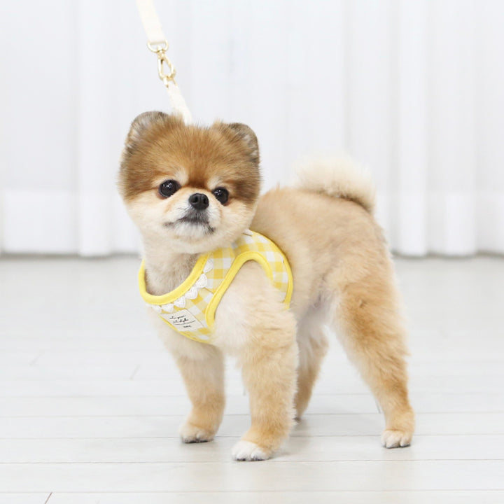 ※予約販売【ITS DOG】Heart check harness（Yellow）｜犬用ハーネス