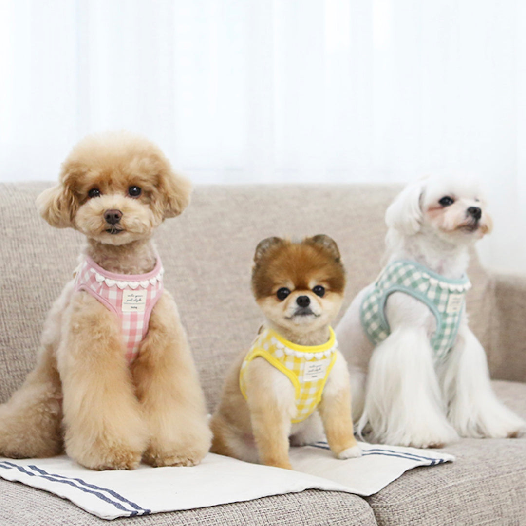 ※予約販売【ITS DOG】Heart check harness（Pink）｜犬用ハーネス
