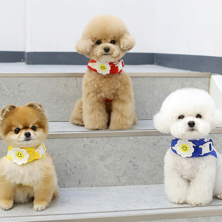 ※予約販売【ITS DOG】Smile Daisy Harness（Blue）｜犬用ハーネス