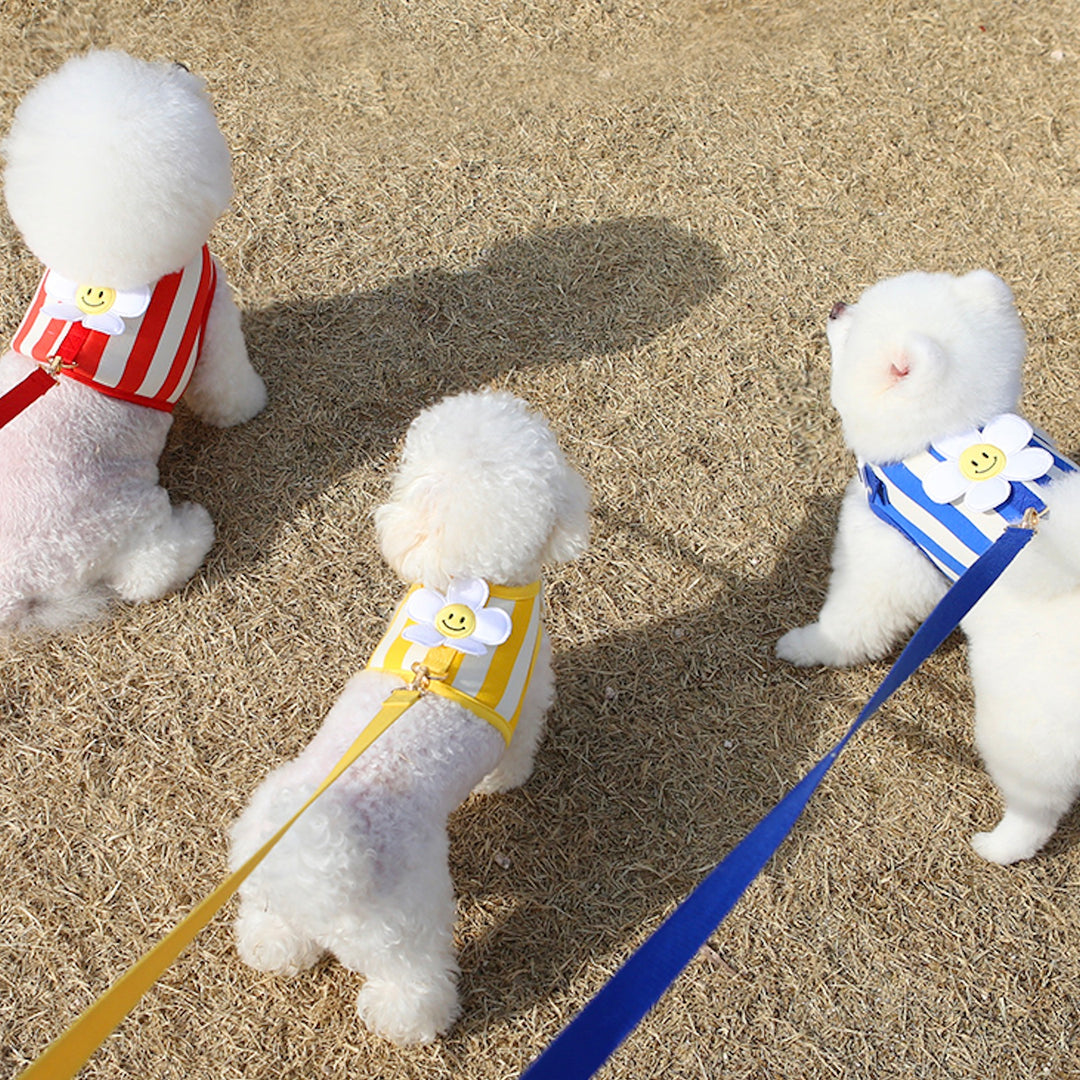 ※予約販売【ITS DOG】Smile Daisy Harness（Blue）｜犬用ハーネス