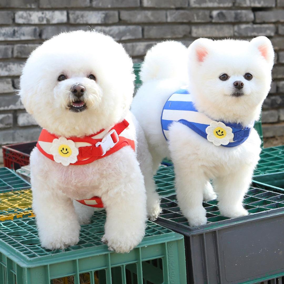※予約販売【ITS DOG】Smile Daisy Harness（Red）｜犬用ハーネス