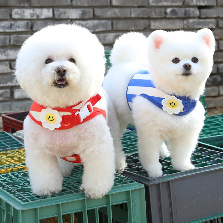 ※予約販売【ITS DOG】Smile Daisy Harness（Red）｜犬用ハーネス