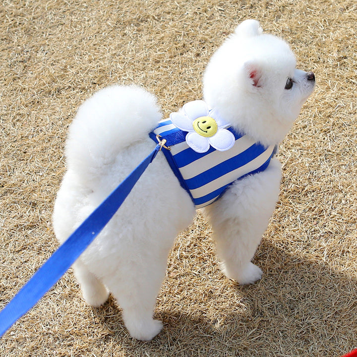 ※予約販売【ITS DOG】Smile Daisy Harness（Blue）｜犬用ハーネス