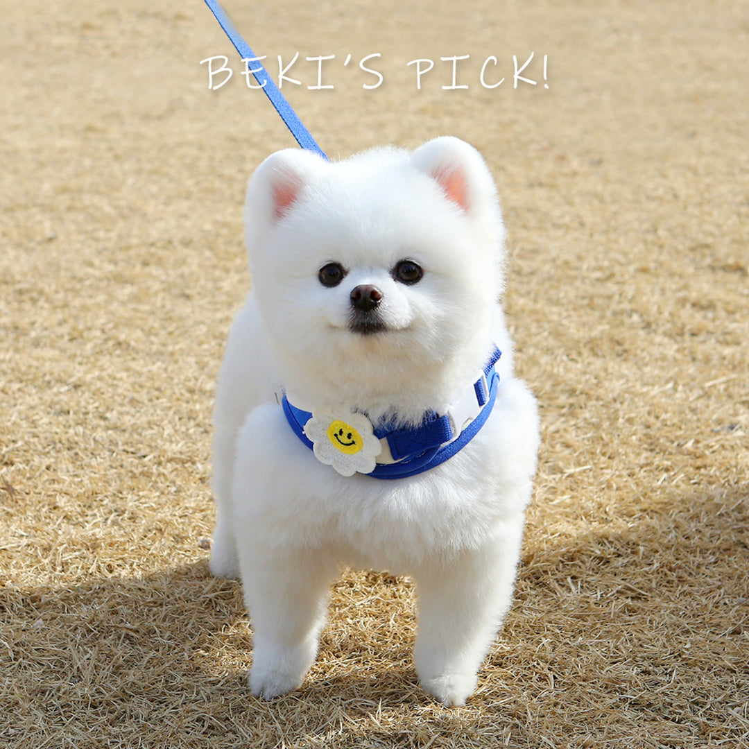 ※予約販売【ITS DOG】Smile Daisy Harness（Blue）｜犬用ハーネス