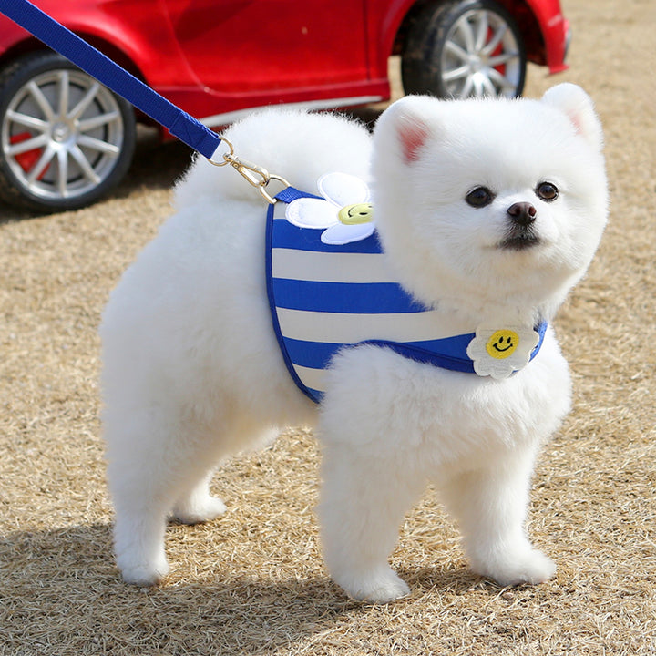※予約販売【ITS DOG】Smile Daisy Harness（Blue）｜犬用ハーネス