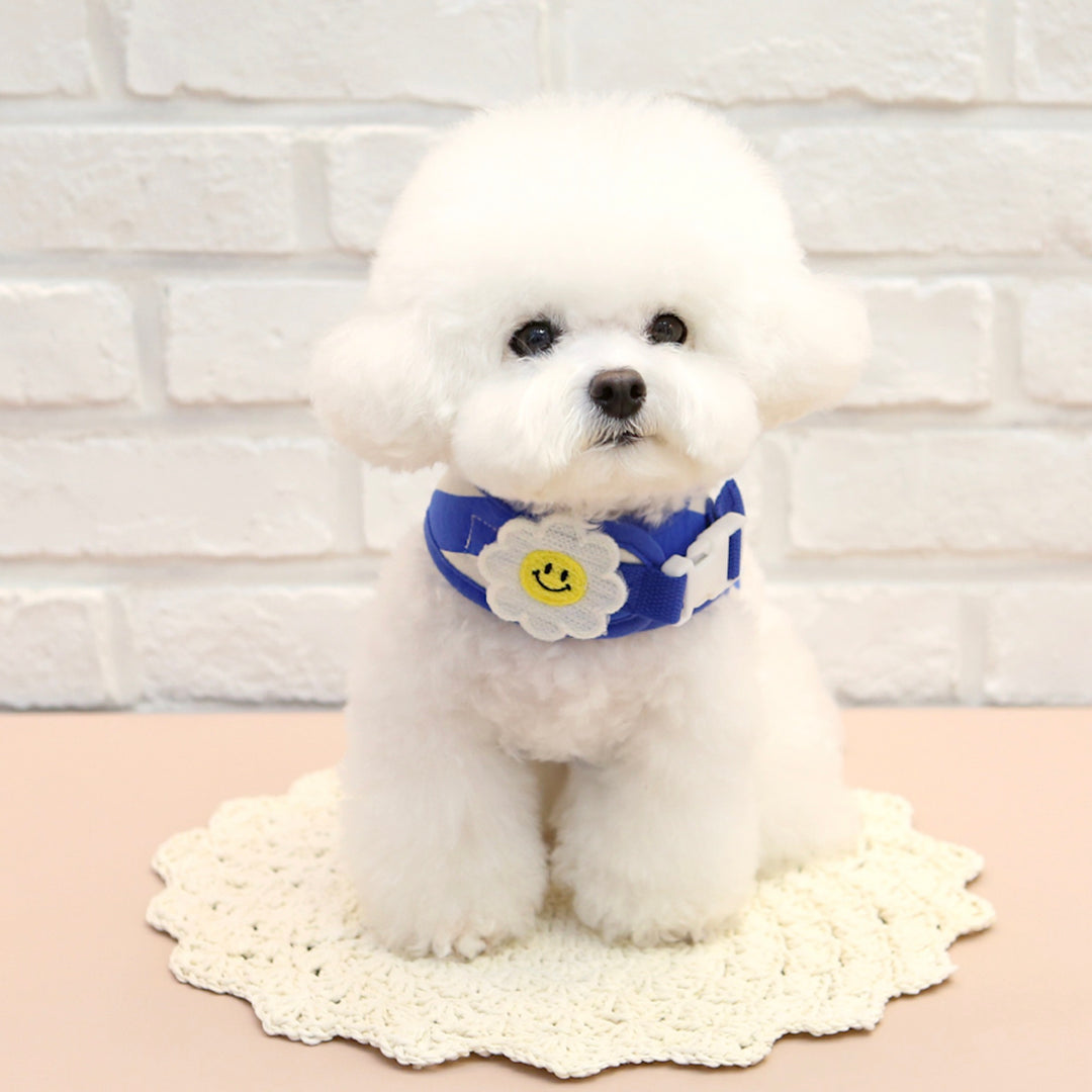 ※予約販売【ITS DOG】Smile Daisy Harness（Blue）｜犬用ハーネス
