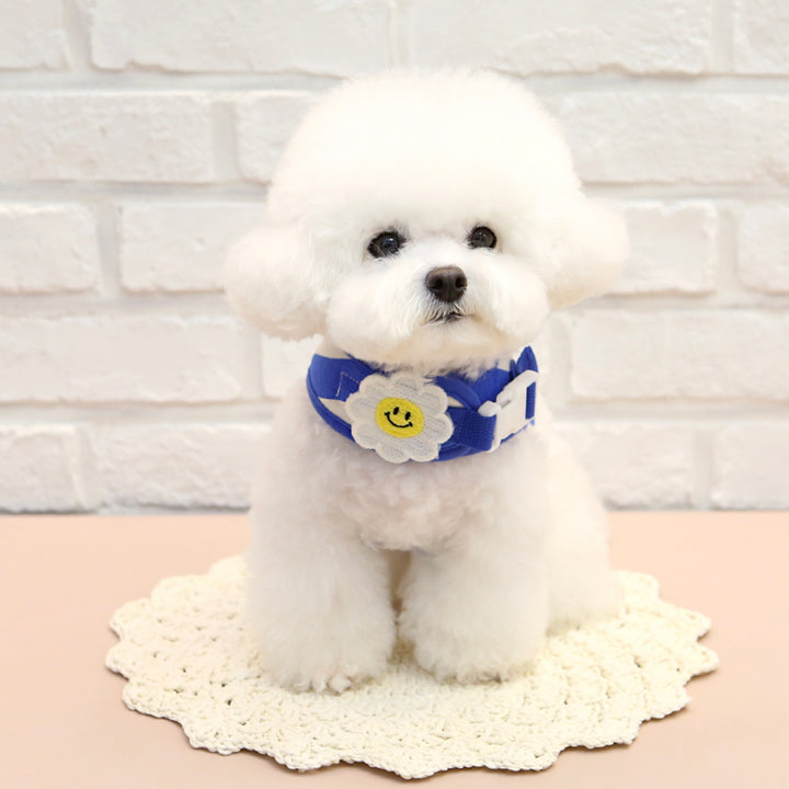 ※予約販売【ITS DOG】Smile Daisy Harness（Blue）｜犬用ハーネス