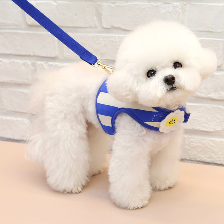 ※予約販売【ITS DOG】Smile Daisy Harness（Blue）｜犬用ハーネス