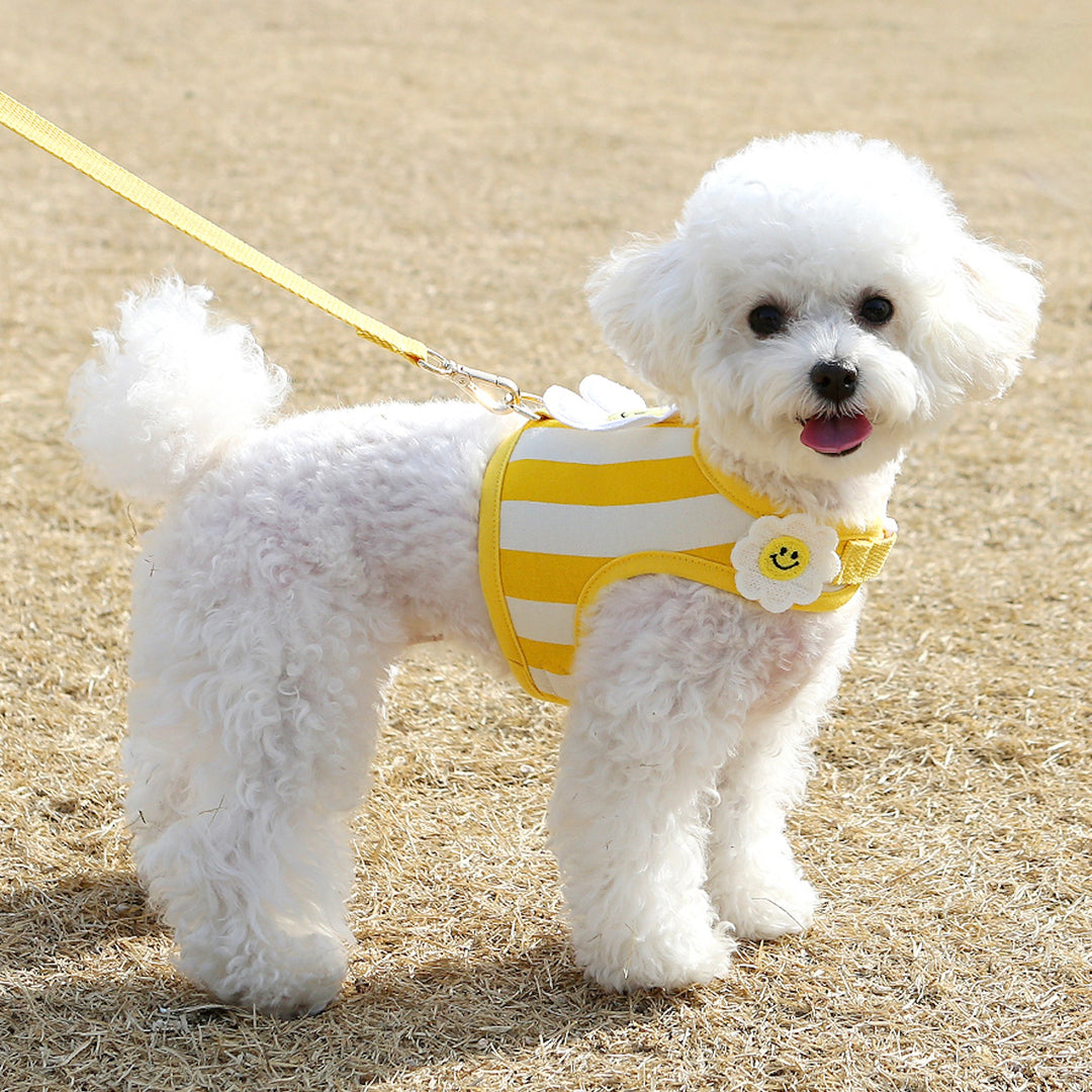 ※予約販売【ITS DOG】Smile Daisy Harness（Yellow）｜犬用ハーネス