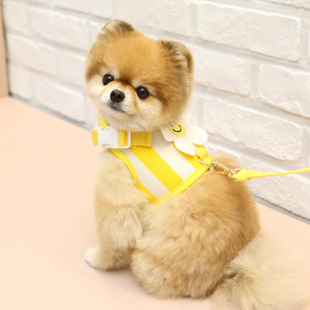 ※予約販売【ITS DOG】Smile Daisy Harness（Yellow）｜犬用ハーネス