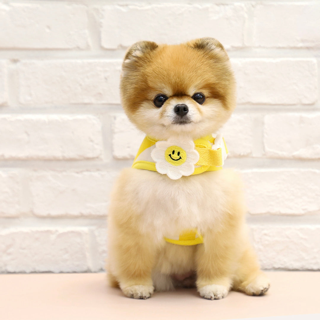 ※予約販売【ITS DOG】Smile Daisy Harness（Yellow）｜犬用ハーネス