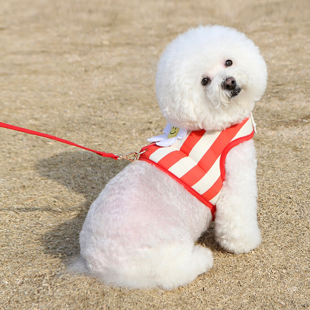 ※予約販売【ITS DOG】Smile Daisy Harness（Red）｜犬用ハーネス